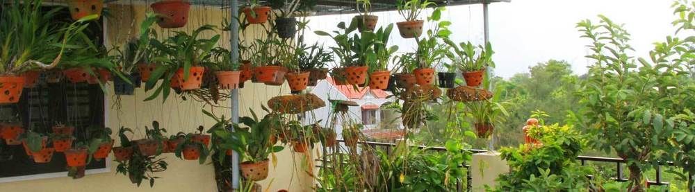 הוי אן Leaf Homestay מראה חיצוני תמונה