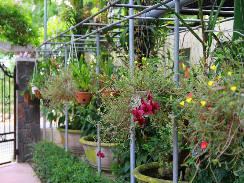 הוי אן Leaf Homestay מראה חיצוני תמונה