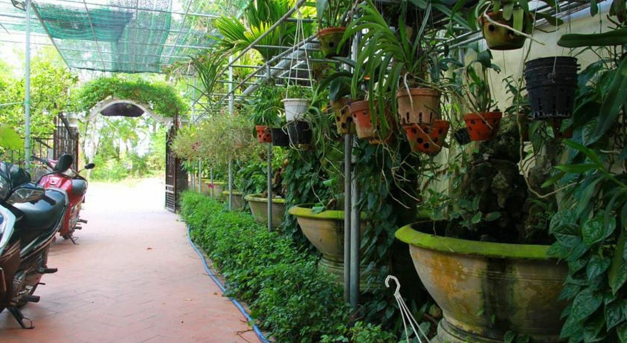 הוי אן Leaf Homestay מראה חיצוני תמונה
