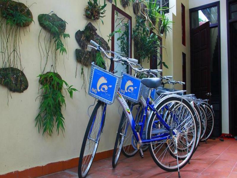 הוי אן Leaf Homestay מראה חיצוני תמונה